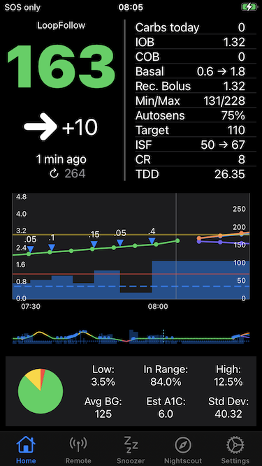 example of main screen for *LoopFollow*